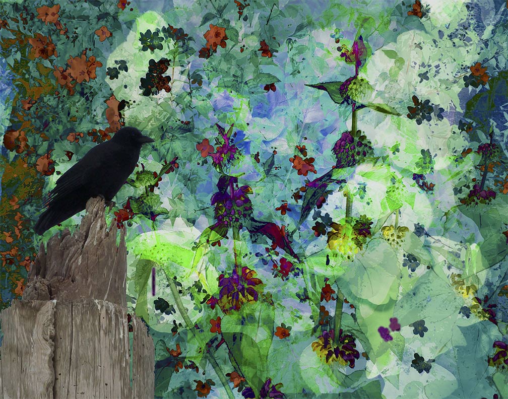 A Crow's Picnic painting by Susan Harman