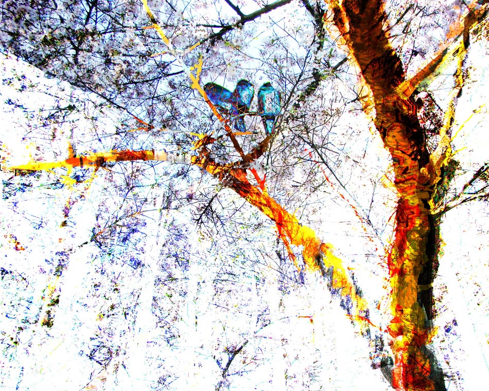 The Trinity Tree digital painting by Susan Harman